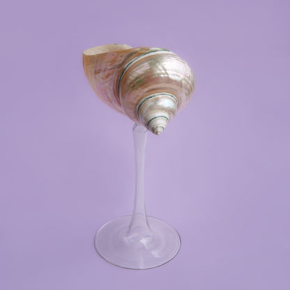 Galatea Dekoratif Kadeh